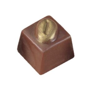 Polycarbonaat Bonbon Chocoladevorm: Vierkant Mokkaboon