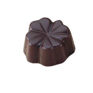 Polycarbonaat Bonbon Chocoladevorm: Klavertje vier