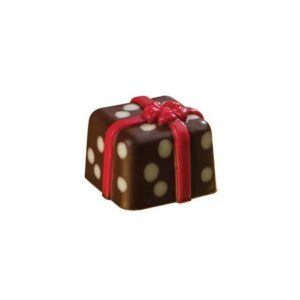 polycarbonaat-bonbon-chocoladevorm-kadootje